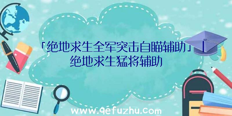 「绝地求生全军突击自瞄辅助」|绝地求生猛将辅助